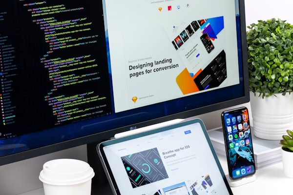 Веб-разработка HTML CSS JavaScript код